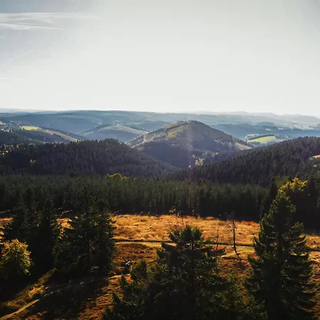 Astenturm (adults Only) 3* Winterberg