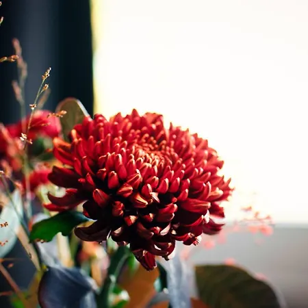 Готель Astenturm (adults Only) 3*