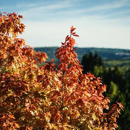 Готель Astenturm (adults Only) 3*