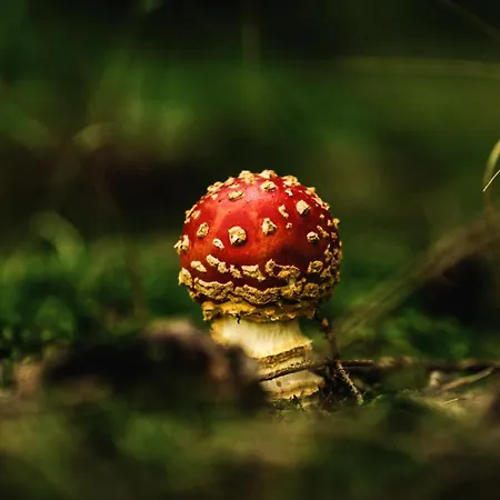 Готель Astenturm (adults Only) 3*