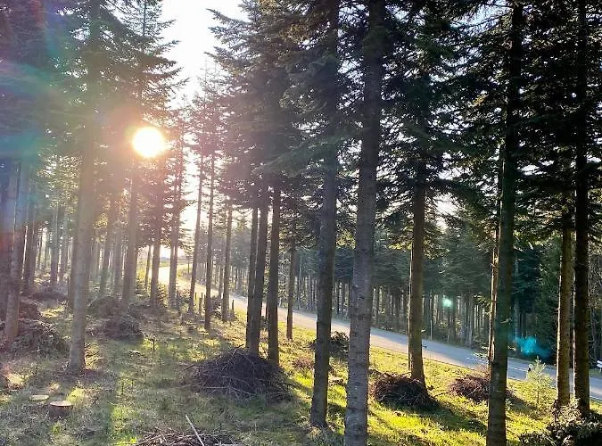 Hotel Astenturm (adults Only)