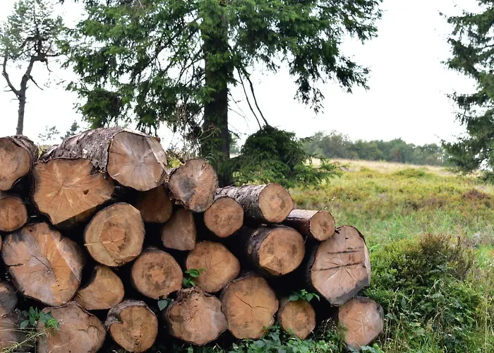 Astenturm (adults Only) Готель