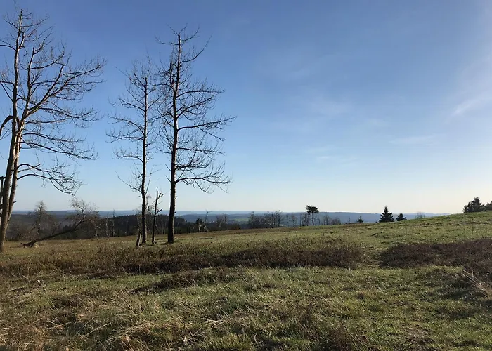 Astenturm (adults Only) Вінтерберг