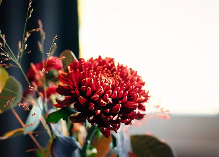 Готель Astenturm (adults Only) 3*