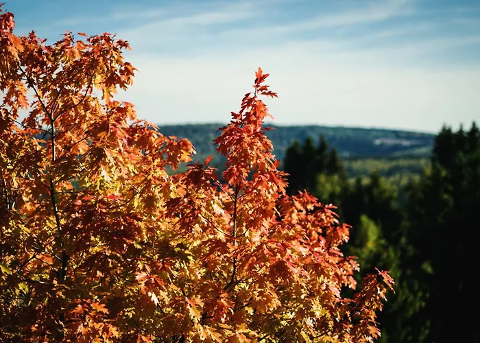 Готель Astenturm (adults Only) 3*