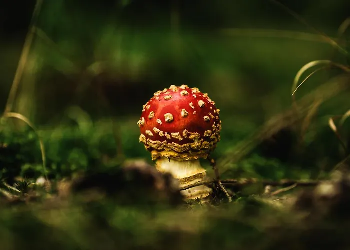 Готель Astenturm (adults Only) 3*