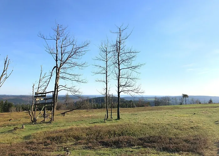 Astenturm (adults Only)